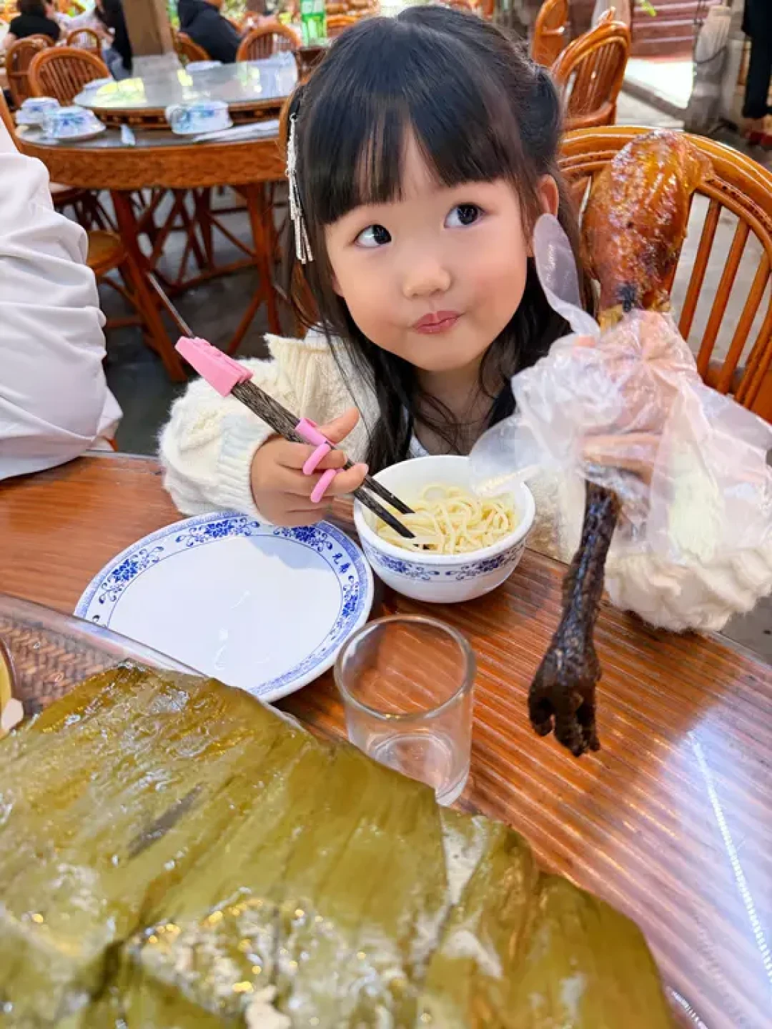 亲测!带娃野象谷+曼掌村回来了!说点实在话!