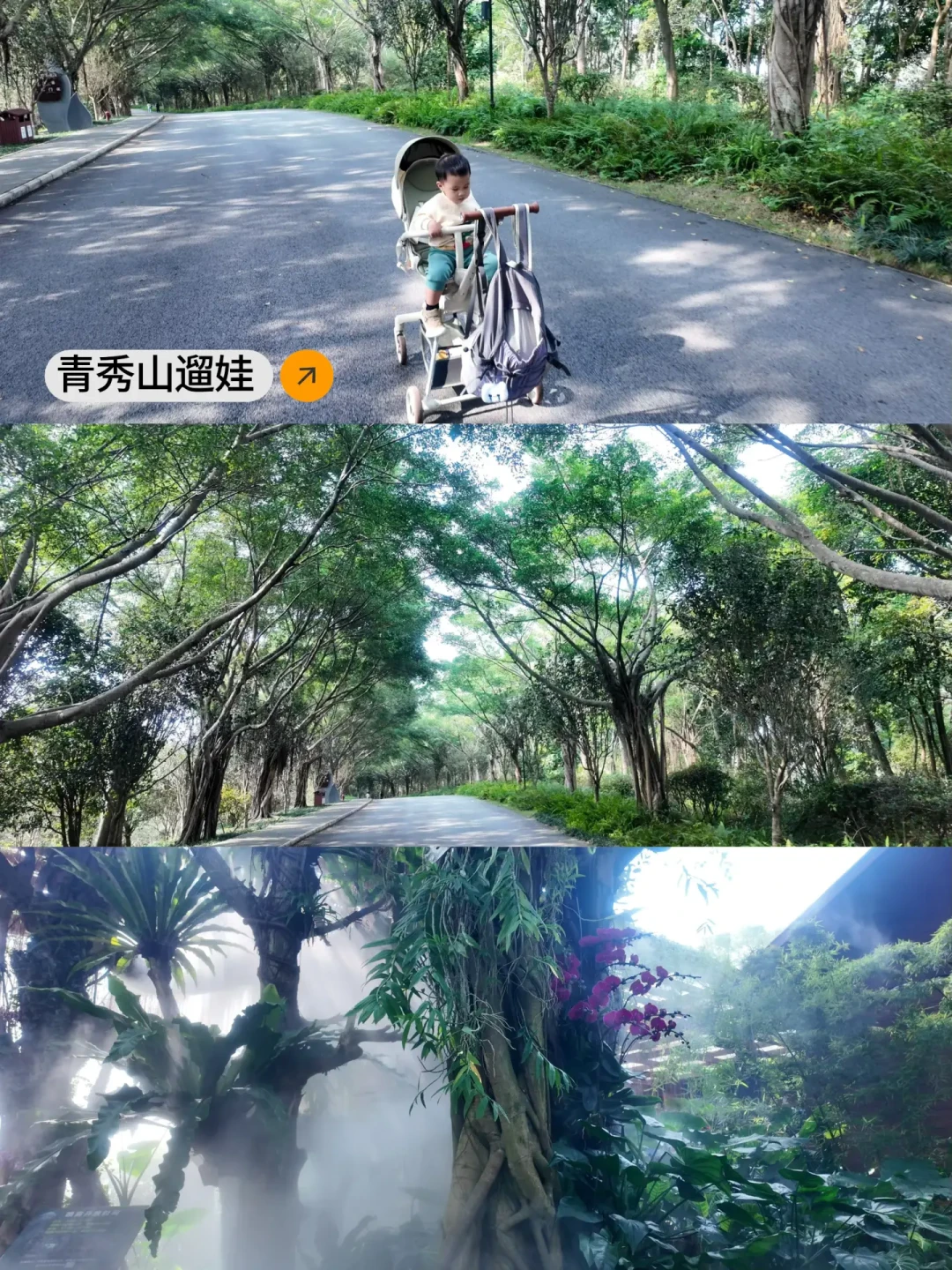 Daily|广西南宁5天4晚亲子游🚗附攻略