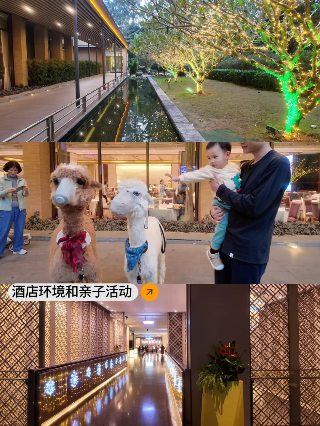 Daily|广西南宁5天4晚亲子游🚗附攻略