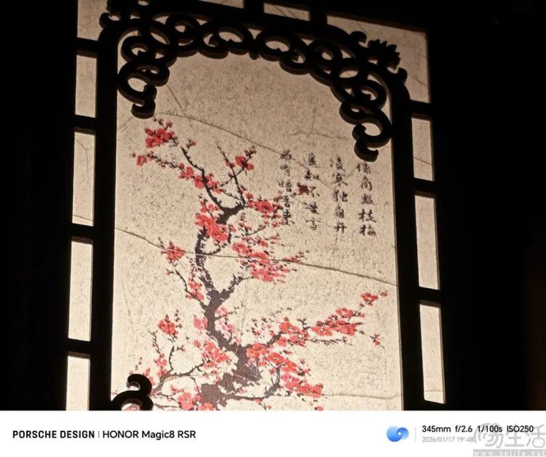 要“尊”还是要“强”？测过荣耀Magic 8 RSR有了答案