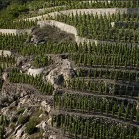 法国北隆河谷罗第丘西拉葡萄酒：DOMAINE STEPHANE OGIER COTE-ROTIE MON VILLAGE 2021