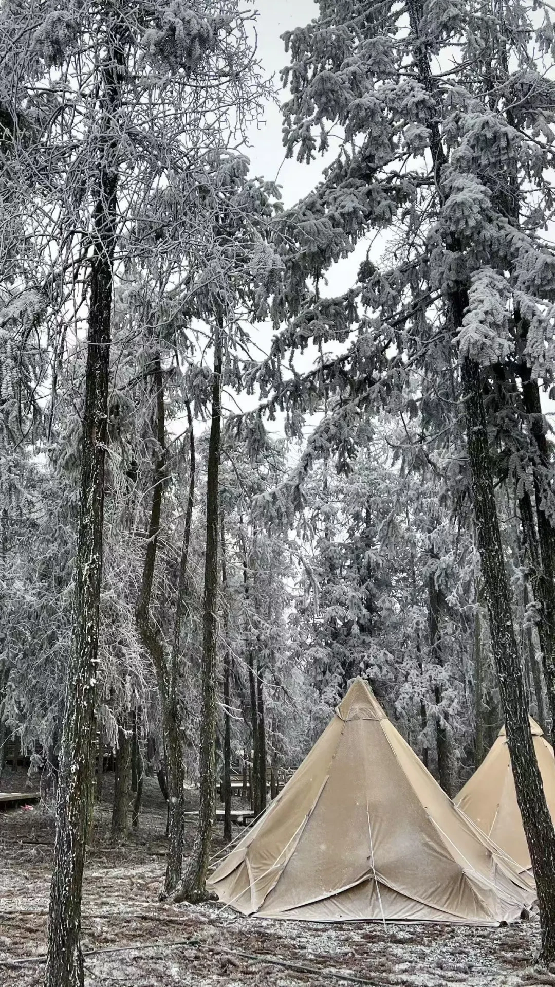 看看你手机里的雪地露营照片。