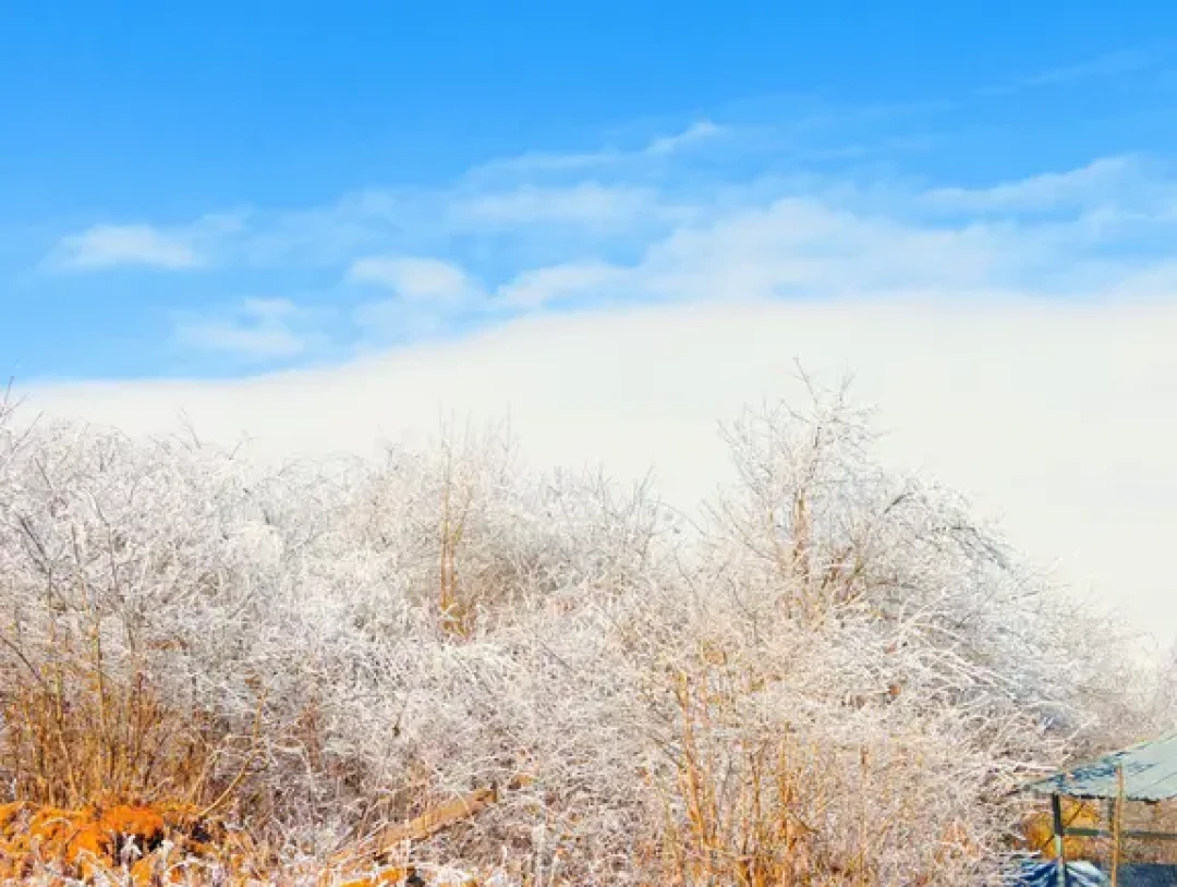 ❄️成都周边 0️⃣元赏雪看🐿|天台山徒步攻略