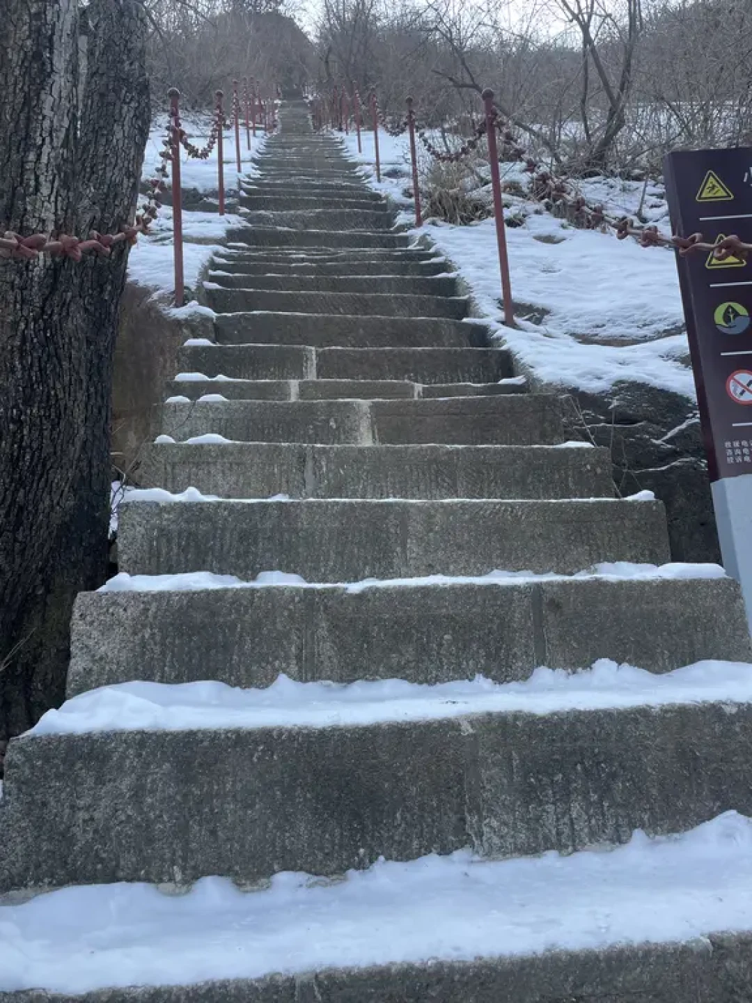 ⛰️淄博鲁山超详细攻略|我将推荐给所有人
