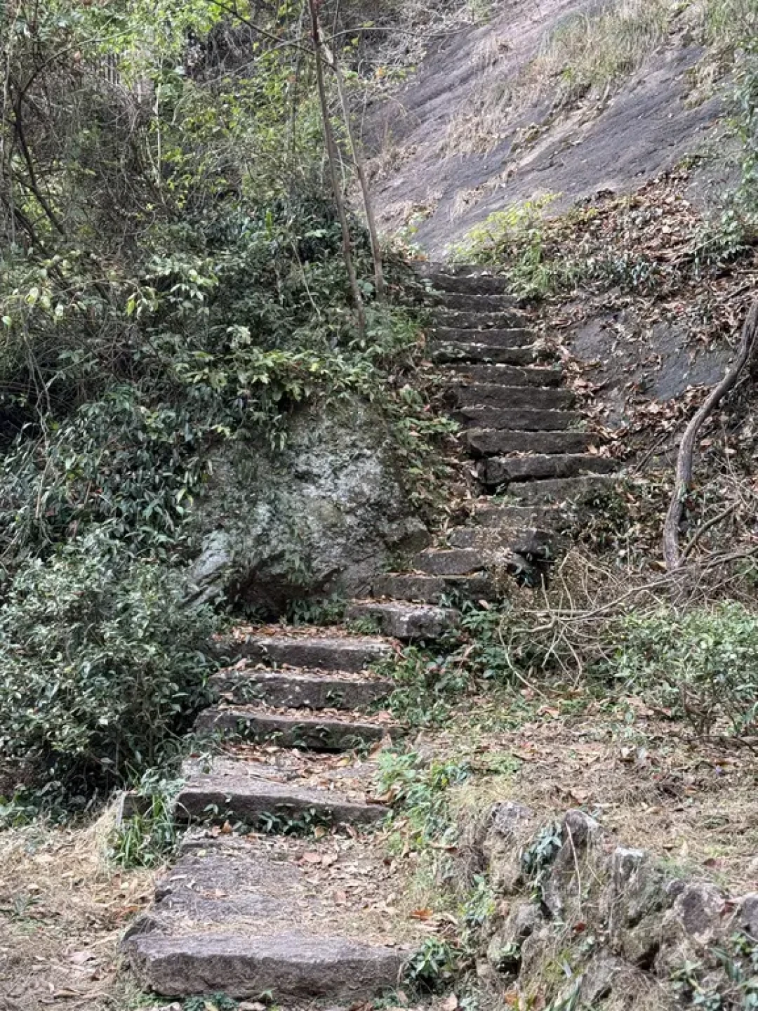 【福建爬山】武夷山⛰️