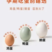 孕期吃蛋别瞎选 鸡蛋 / 鸭蛋 / 鹅蛋 区别大