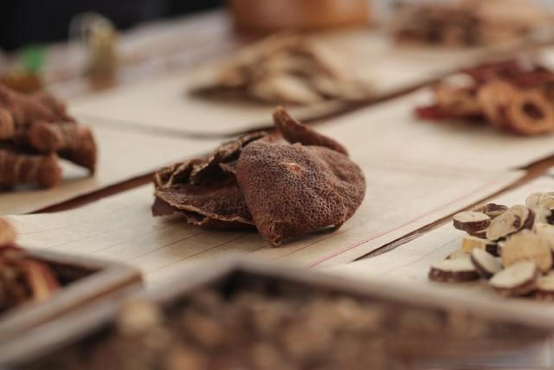 体质不对别乱补!血虚忌丹参、脾虚避薏仁、肺虚慎桑叶 对症调见效