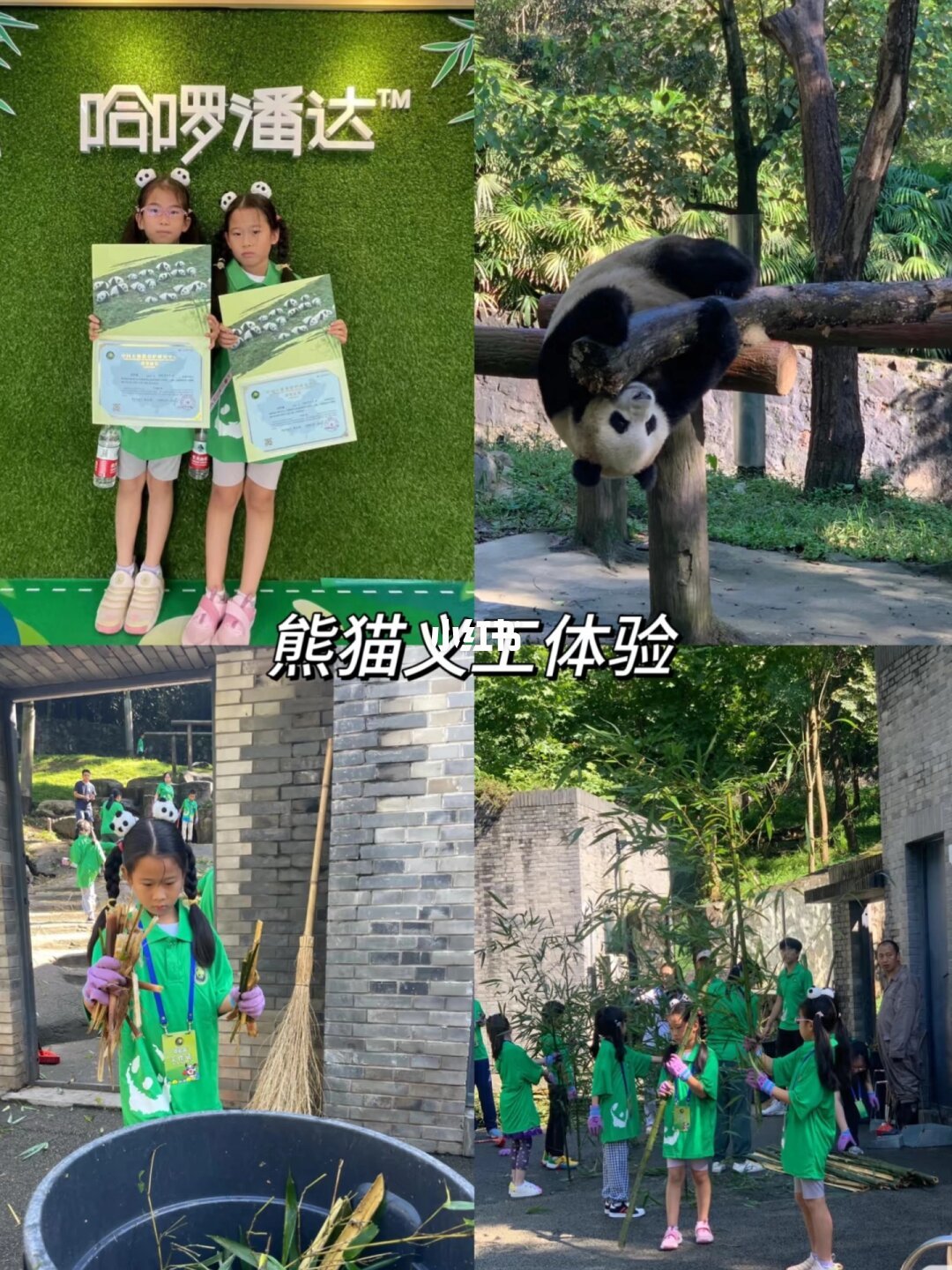 成都亲子游躺平版✅5天4晚不费妈奢华遛娃