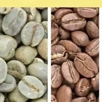 咖啡豆的“人生三阶段”