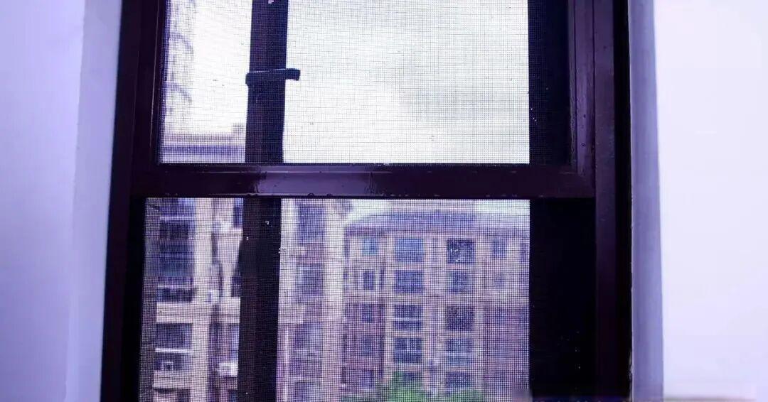 原来清理纱窗这么简单!不用拆不用卸,污渍哗哗掉下来,瞬间干净