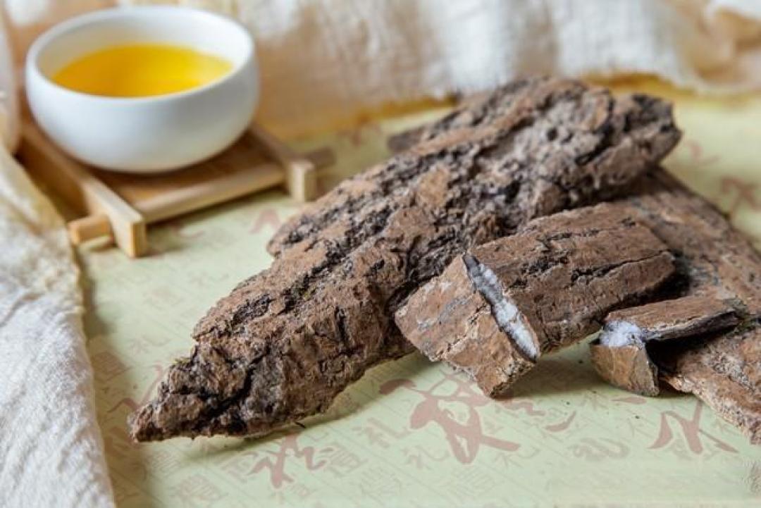 肝肾亏虚、精力差?肉苁蓉的中医调理智慧,温和进补不踩雷