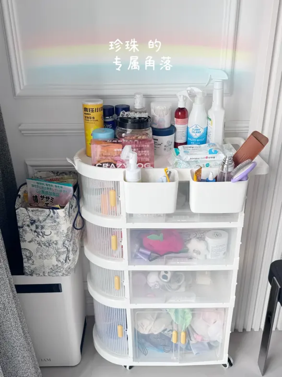 自用好物第1篇 · 🐶 日常清洁护理