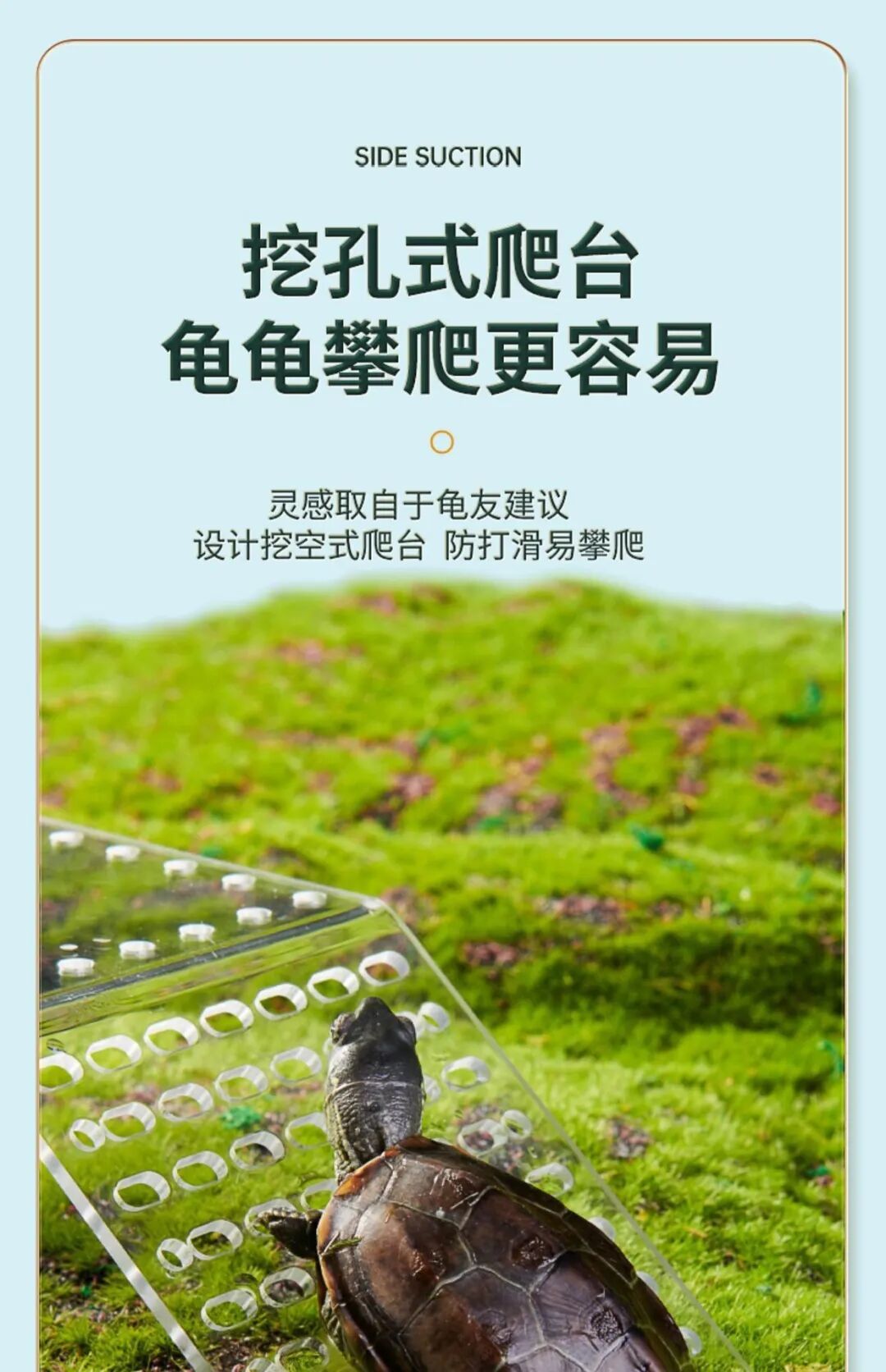 YEE亚克力挂钩晒台:为水族生态缸定制的「全能爬台」