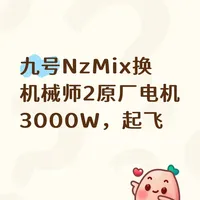 九号NzMix换机械师2原厂电机