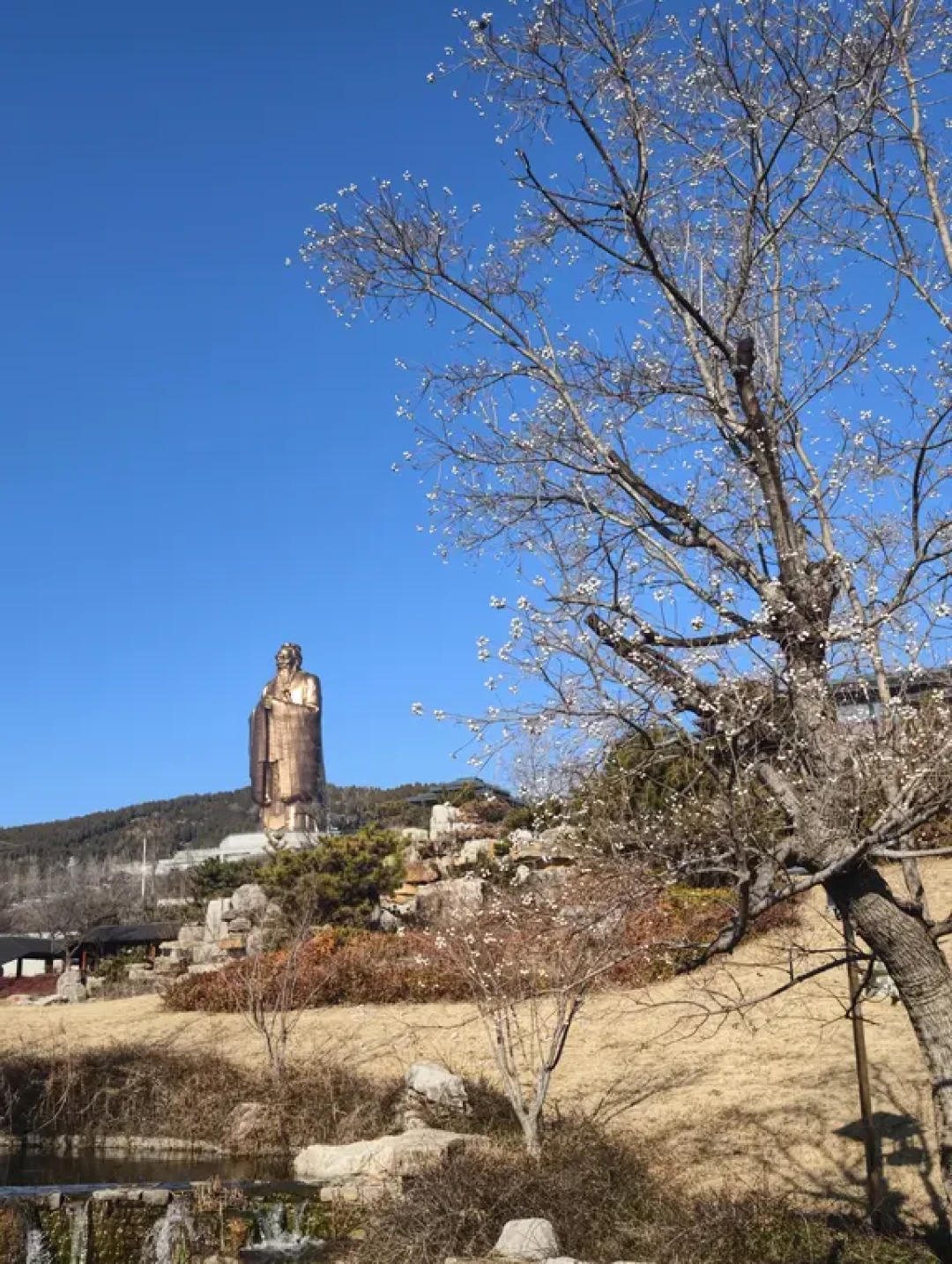 升学祈福 曲阜-泰安3天2晚亲子省心游（一）
