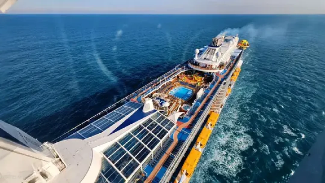 海洋光谱号🚢初体验,亲测干货满满