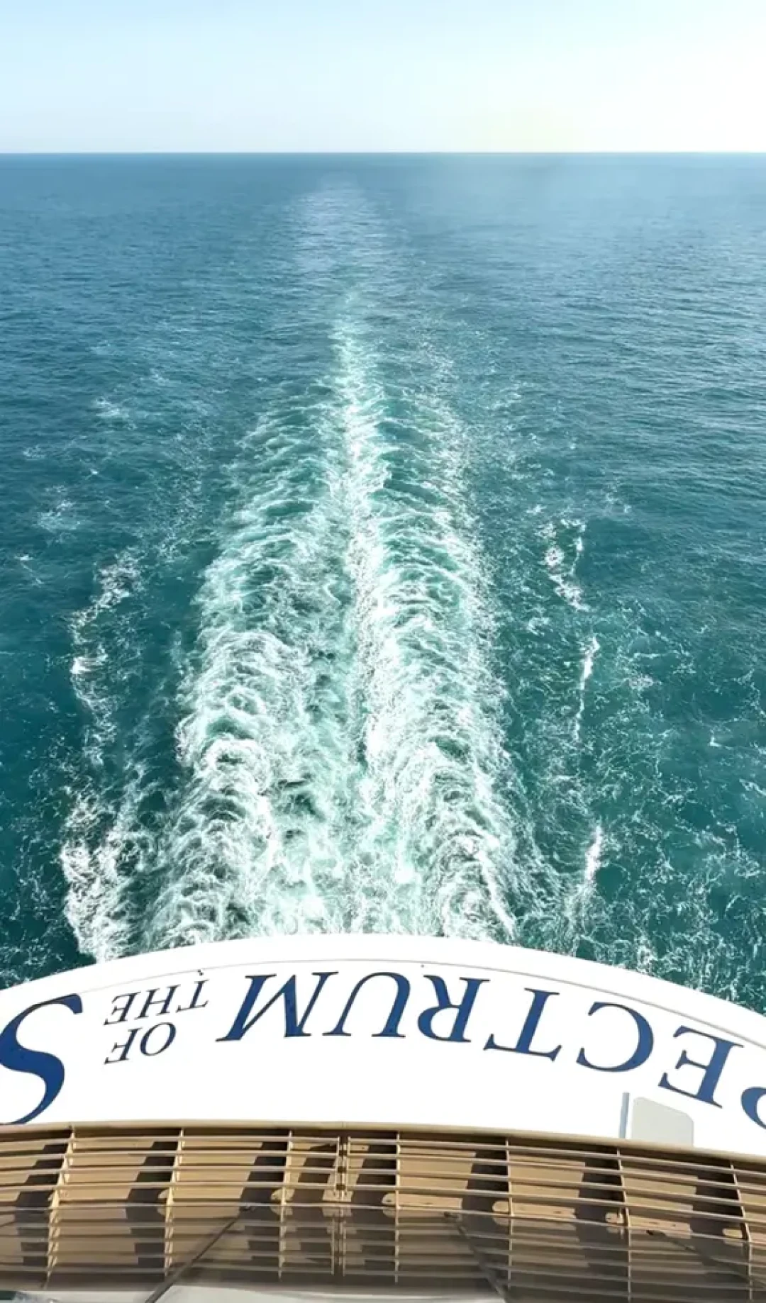 海洋光谱号🚢初体验,亲测干货满满