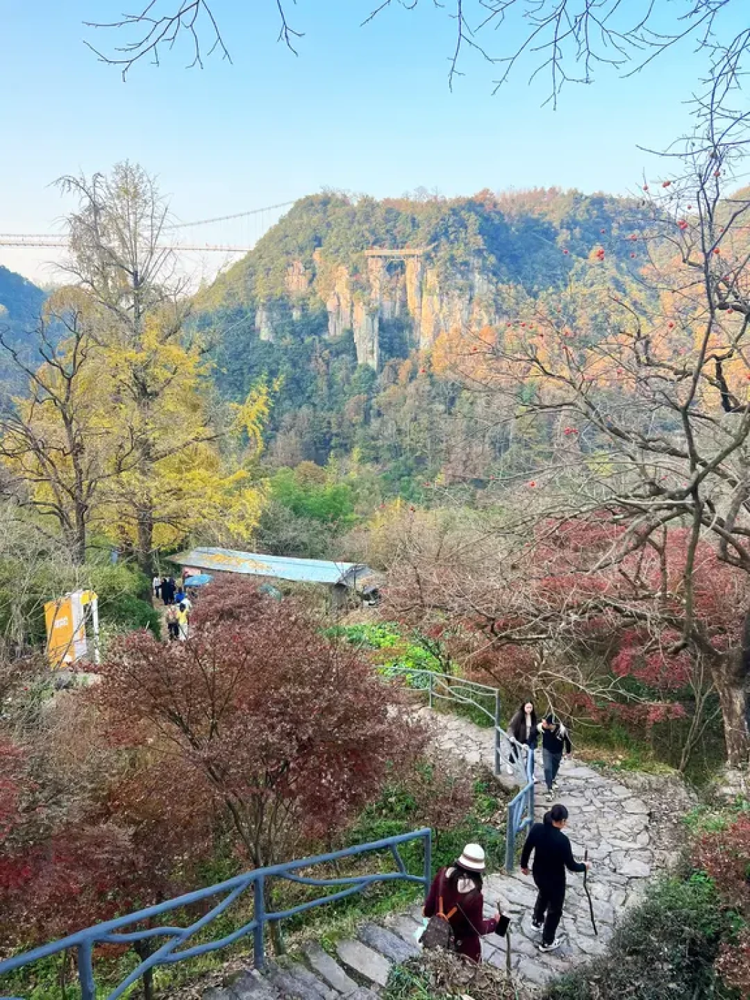 宁波“篁岭”🌸秋天亲子最友好的徒步路线了✔️