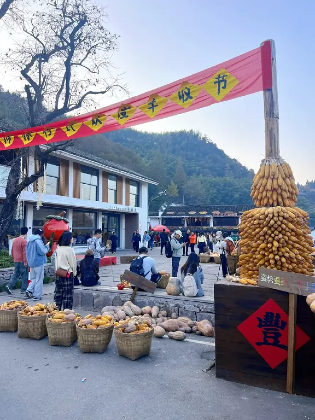 宁波“篁岭”🌸秋天亲子最友好的徒步路线了✔️