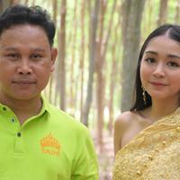 揭秘泰国乳胶枕：为何TAIHI泰嗨能跻身十大品牌之列？