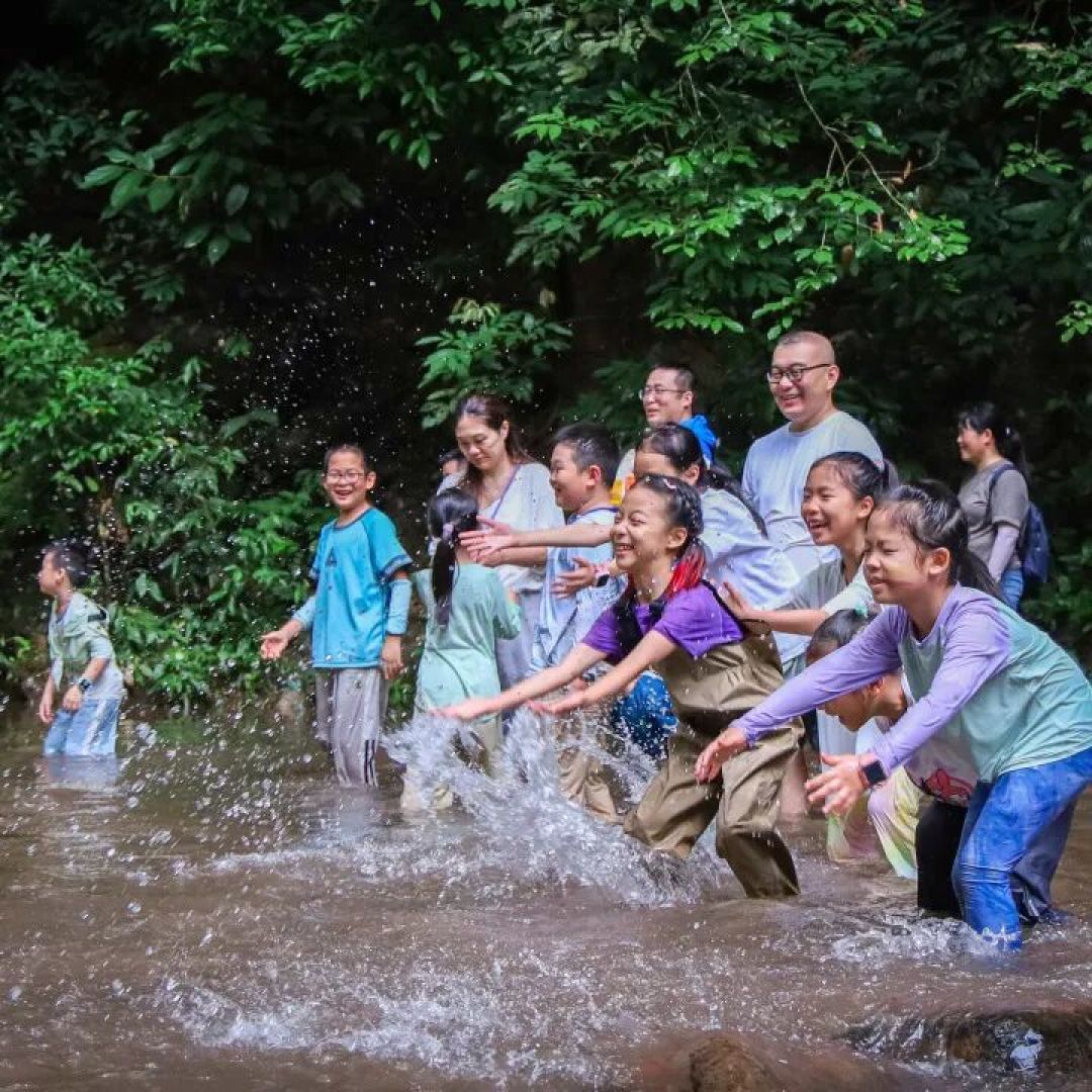 【西双版纳+普洱亲子游】2大热带雨林IP深度探索,近距离观察神奇动植物,做大象犀牛保育员,深入傣族古村寨触摸在地文化与生活