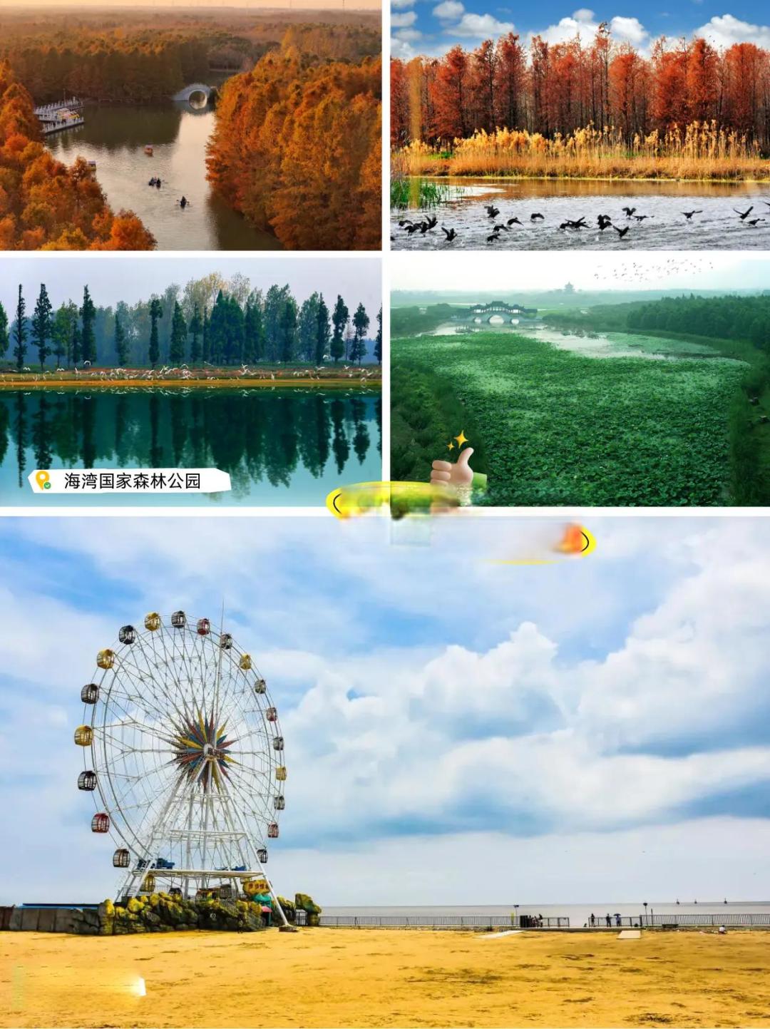 奉贤打卡点一览,取景地已备好,等拍!