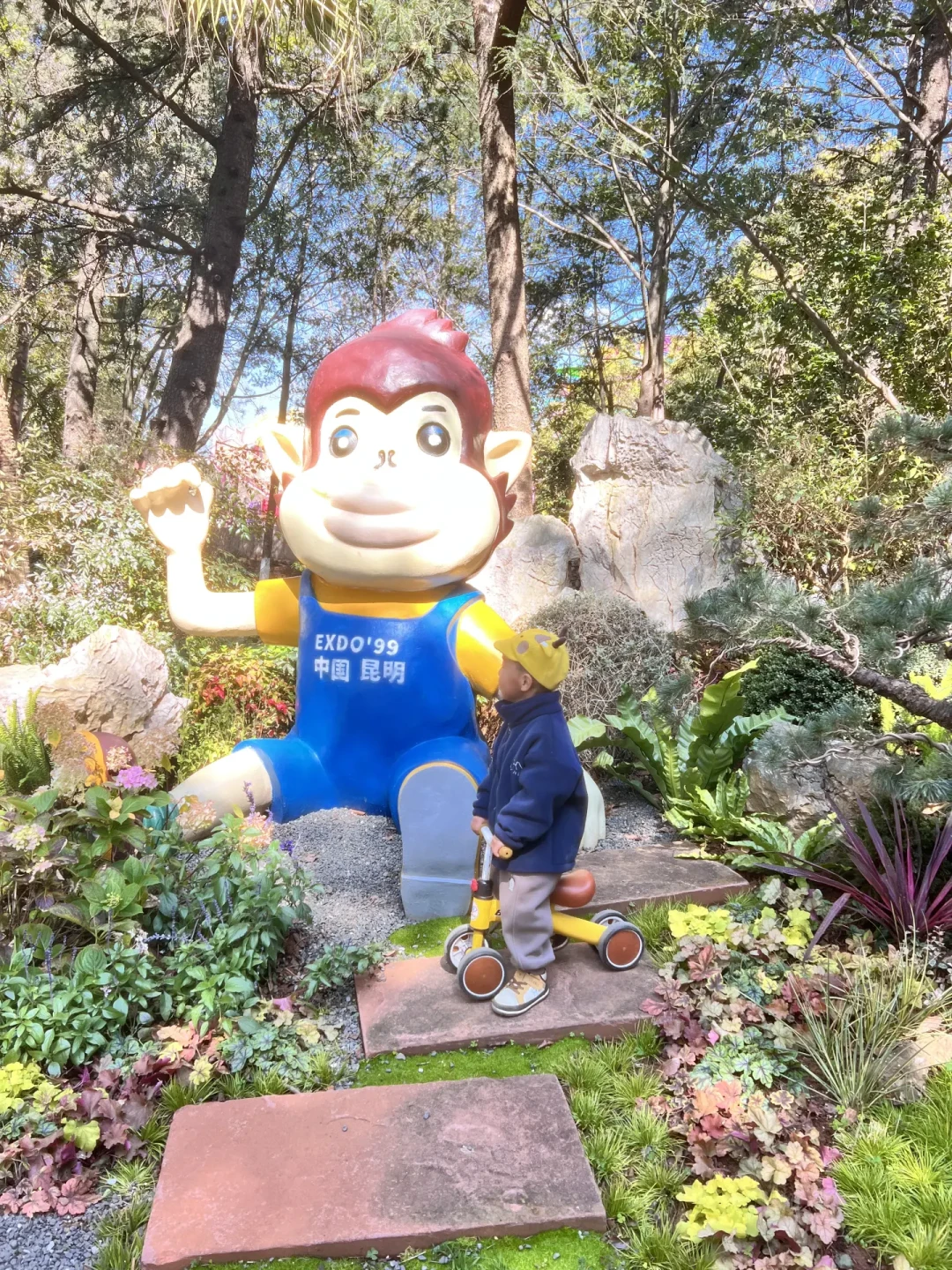 昆明城市中心的宝藏遛娃地