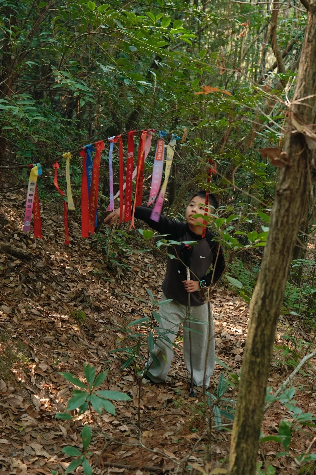 浙江周边亲子徒步|被低估的9条宝藏爬山路线