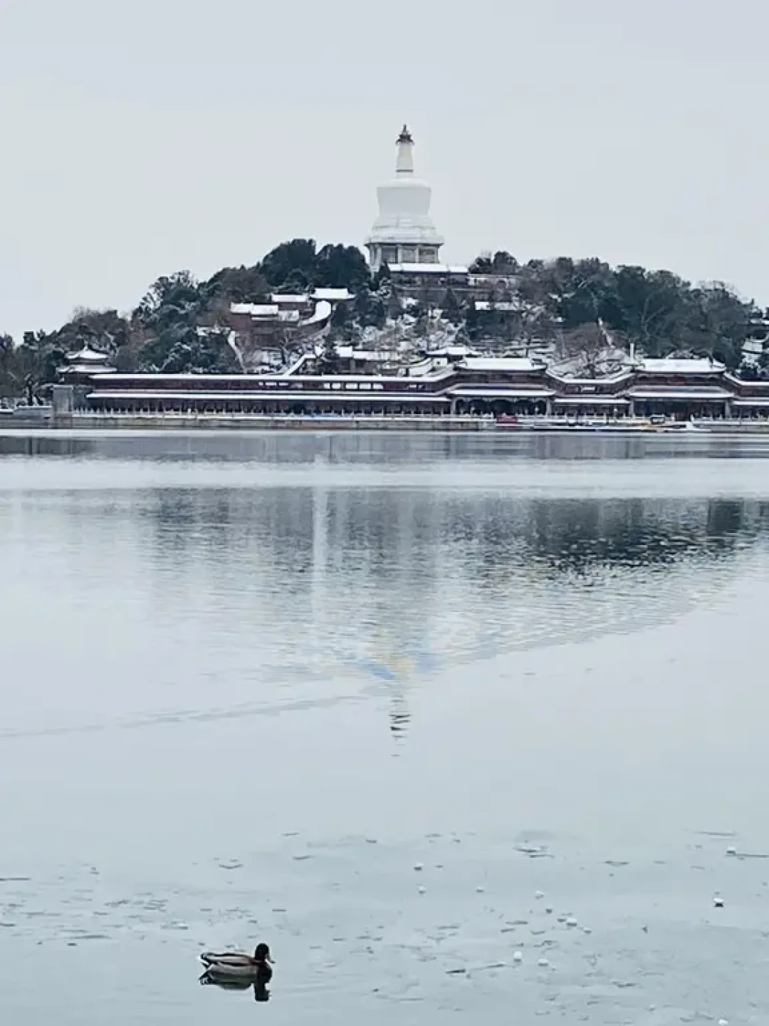 ❄️ 北海冬趣 | 白塔下