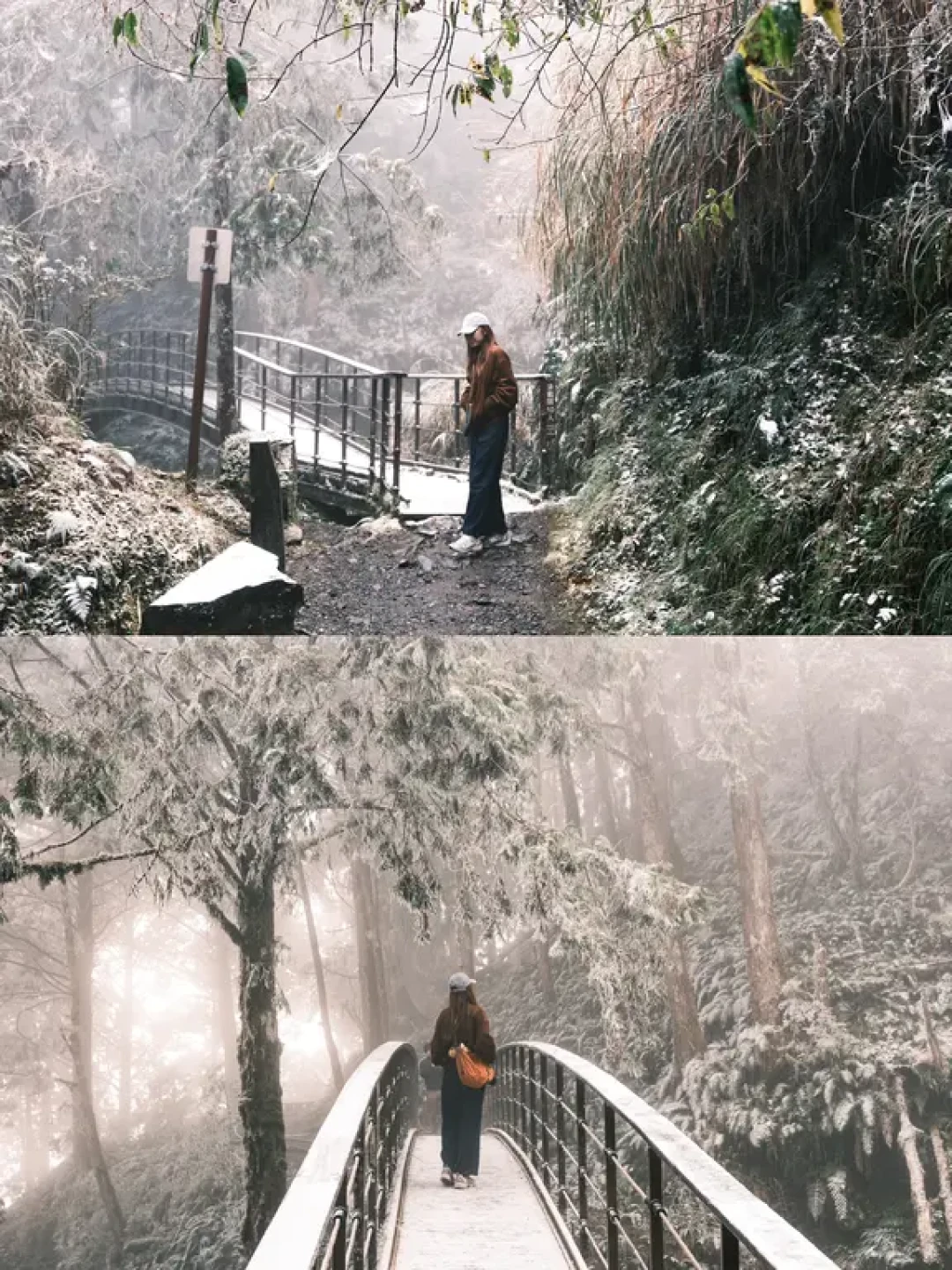 我在台灣看到雪‼️宜蘭冬季2天1夜旅行攻略