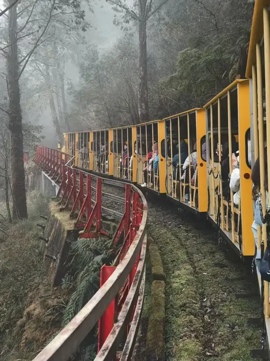 我在台灣看到雪‼️宜蘭冬季2天1夜旅行攻略