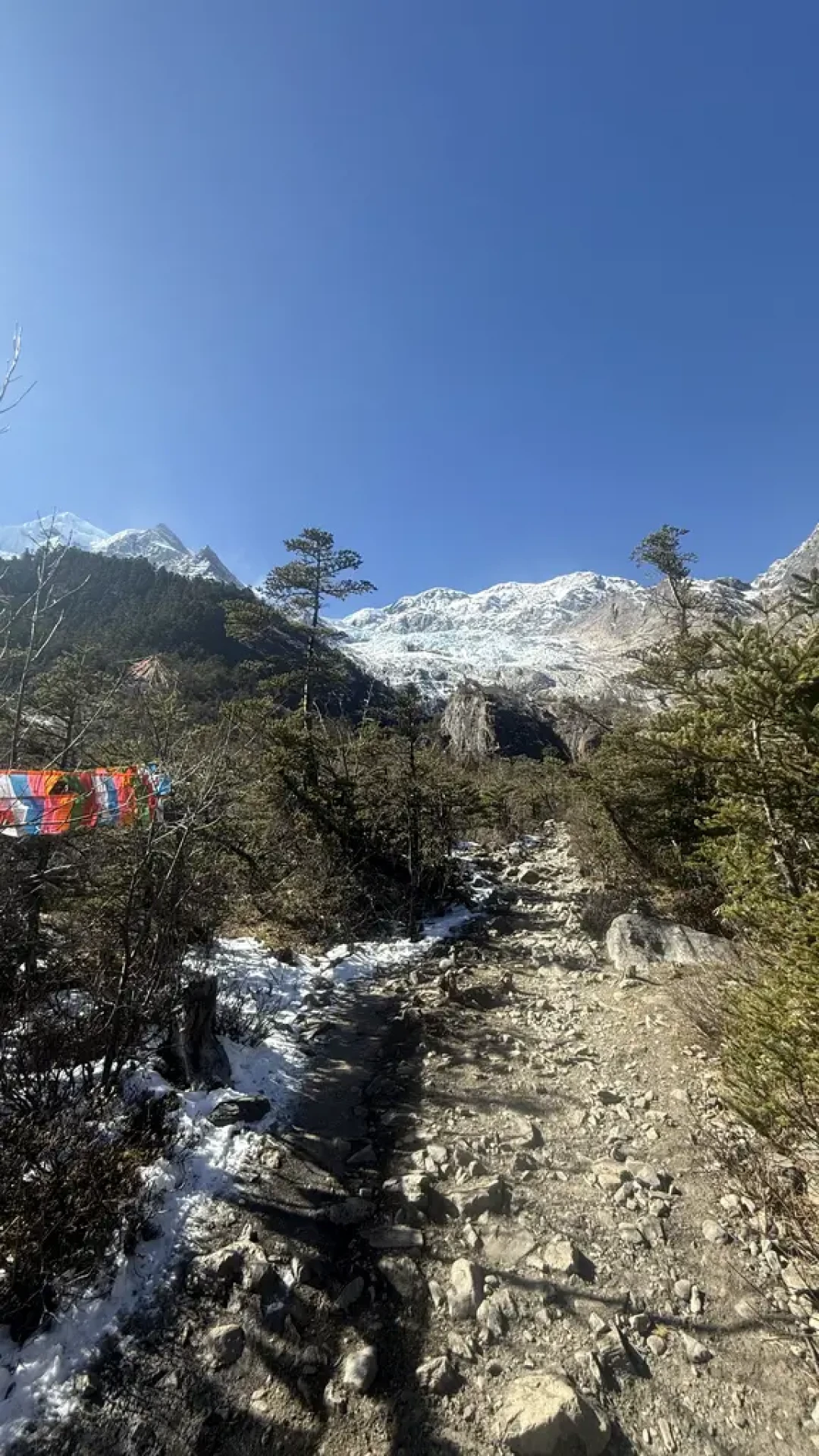 1月雨崩徒步🏔️衣食住行全清单(chill版)