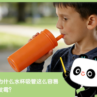 小心！孩子水杯这里，可能正悄悄长出霉菌…