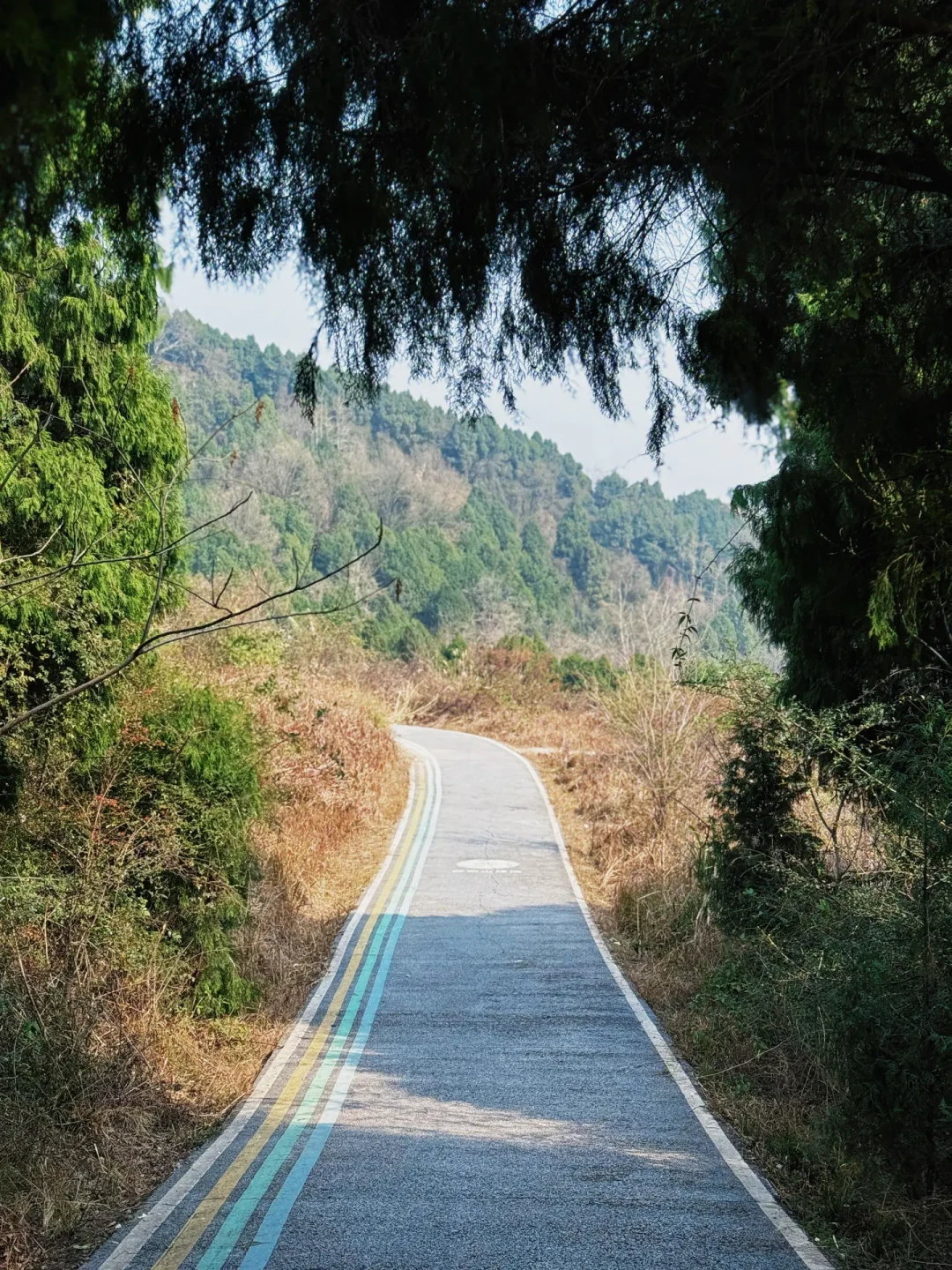 成都1h✅适合低龄亲子山顶观景步道徒步路线