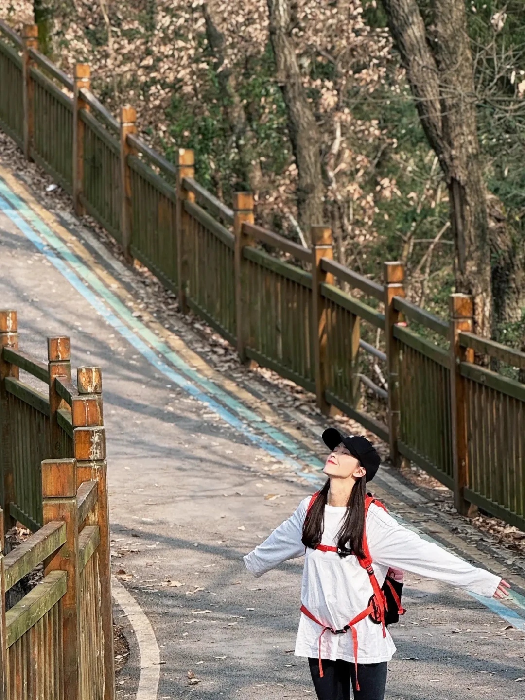 成都1h✅适合低龄亲子山顶观景步道徒步路线