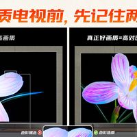 同价位Mini LED电视怎么选？C12L赢在哪？