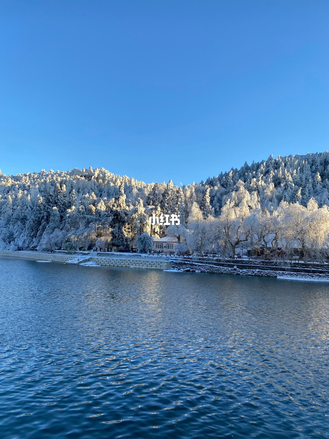 去过庐山不下五回！！建议深圳带娃看雪就来这