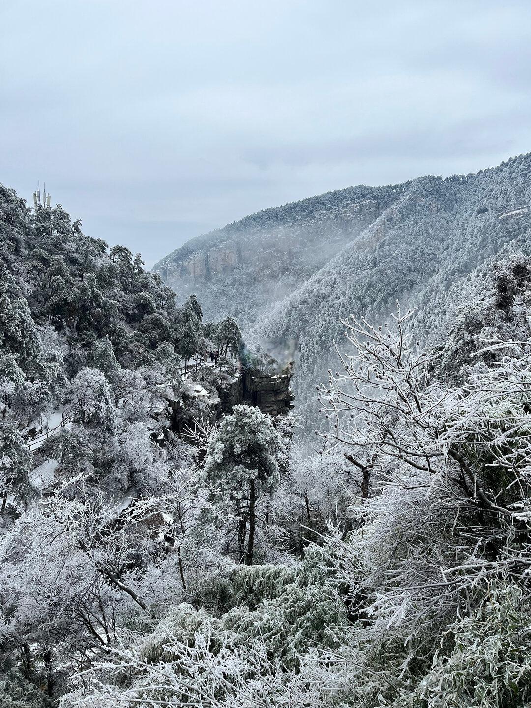 去过庐山不下五回！！建议深圳带娃看雪就来这