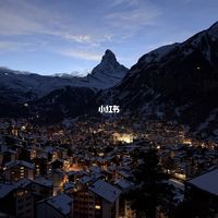 瑞士🇨🇭5日游攻略(含交通购票指南!!❄️)