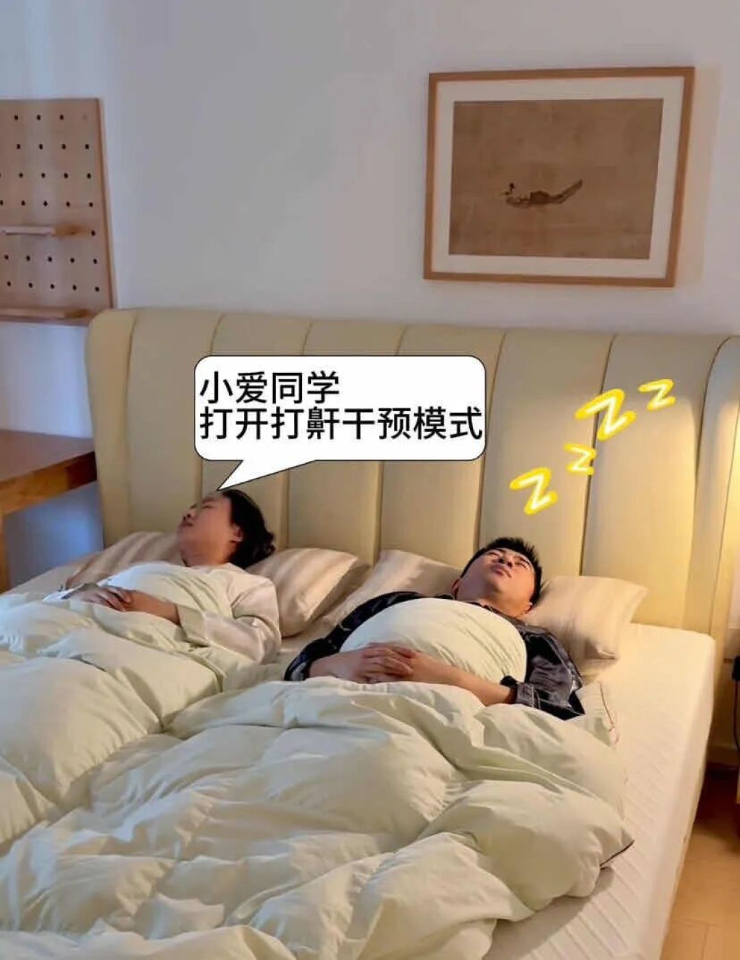 “住6个月｜真后悔没早点买这张智能床！腰不酸了，鼾声少了，连猫都赖着不走了…”