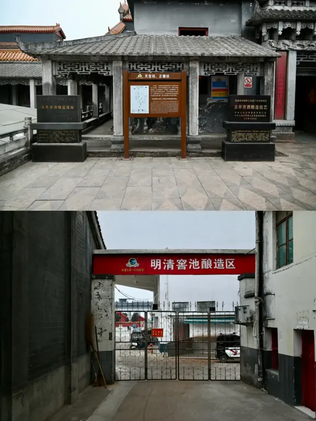 豫见国保:走进古井贡,溯源问酒香🥂