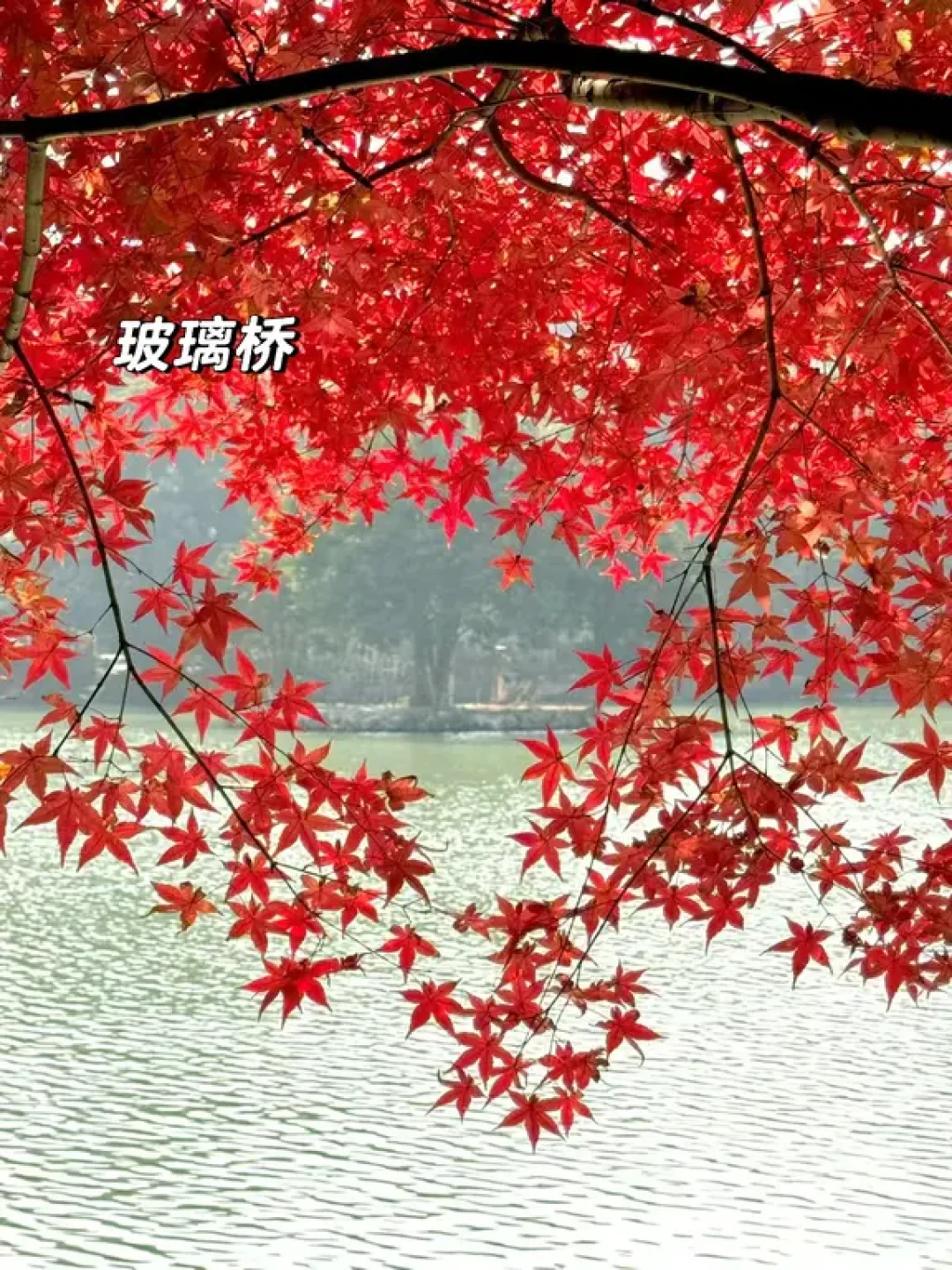 12🈷️的桂林，冬日美景打卡合集（附攻略）🍁