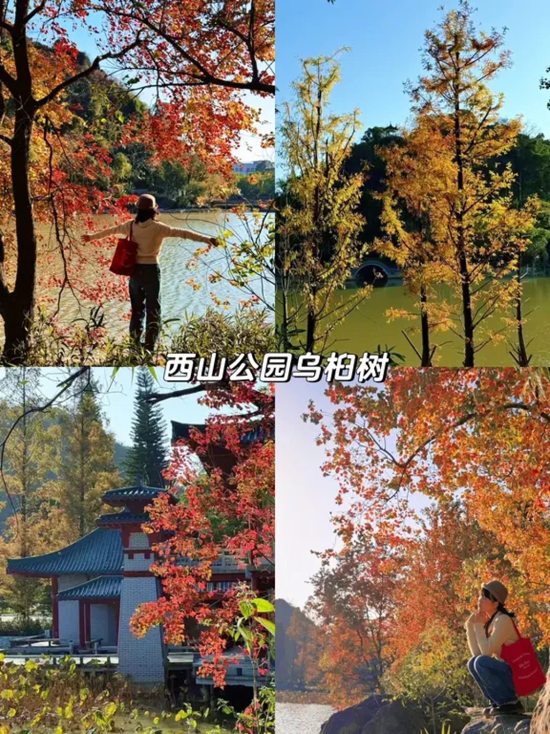 12🈷️的桂林，冬日美景打卡合集（附攻略）🍁