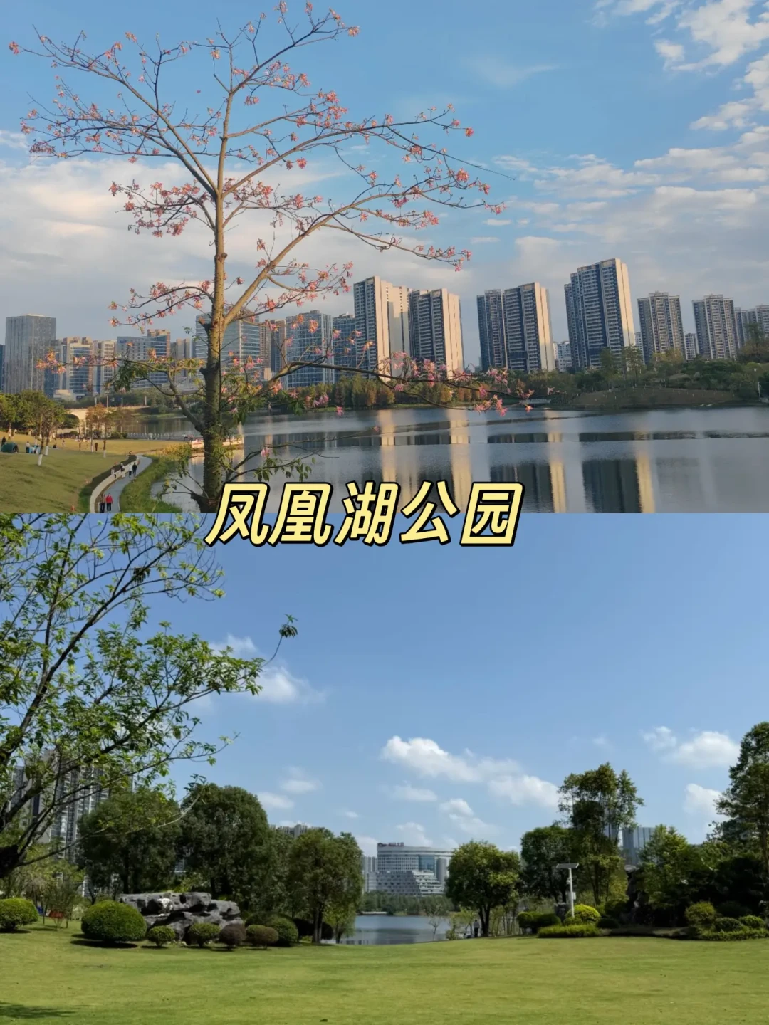 广州周末5大免费露营⛺️遛娃吸氧圣地