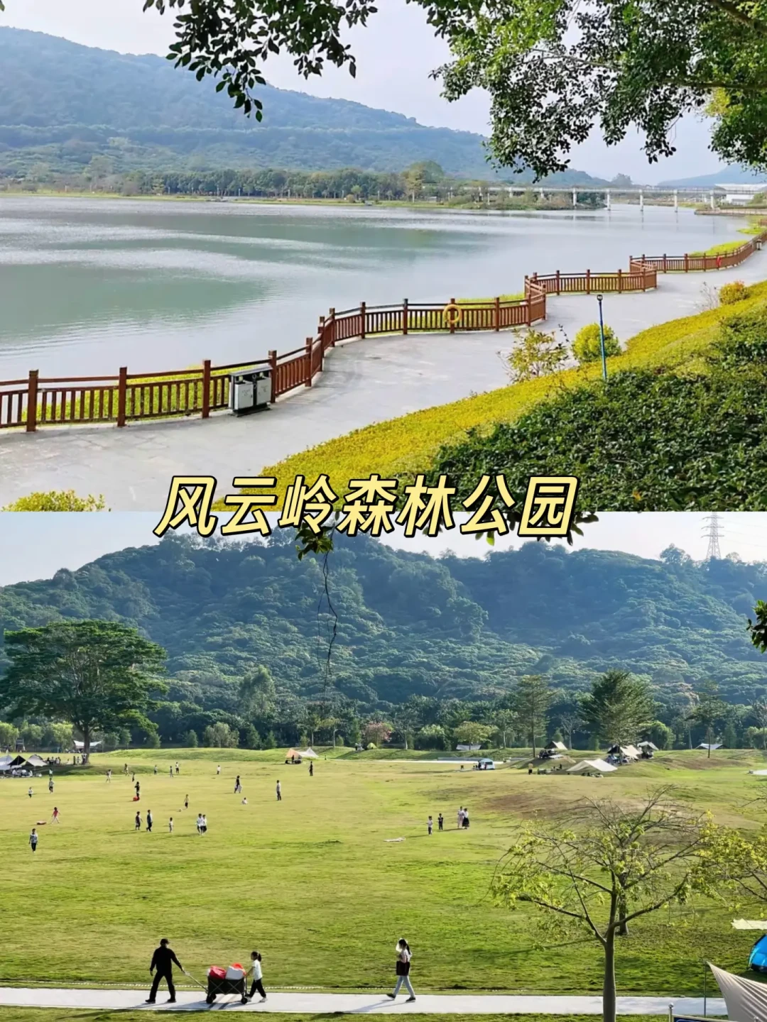广州周末5大免费露营⛺️遛娃吸氧圣地