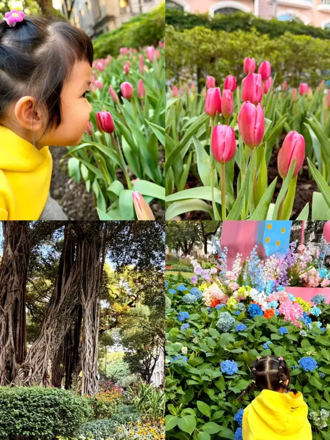 广州沙面亲子一日游|小众小资地