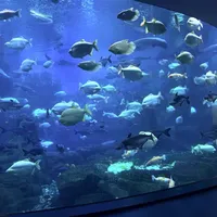 一场说走就走的错峰之旅–郑州海昌海洋公园