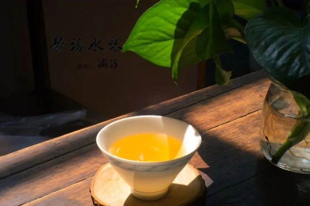 白茶、绿茶、黄茶、乌龙茶、红茶、黑茶、普洱茶各有什么特点?