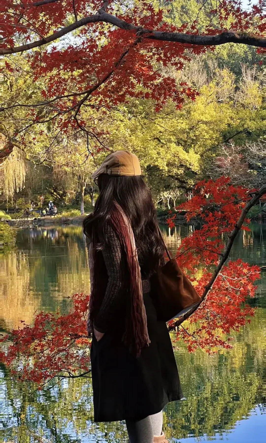 错过等一年!花港观鱼枫叶🍁已上线!!