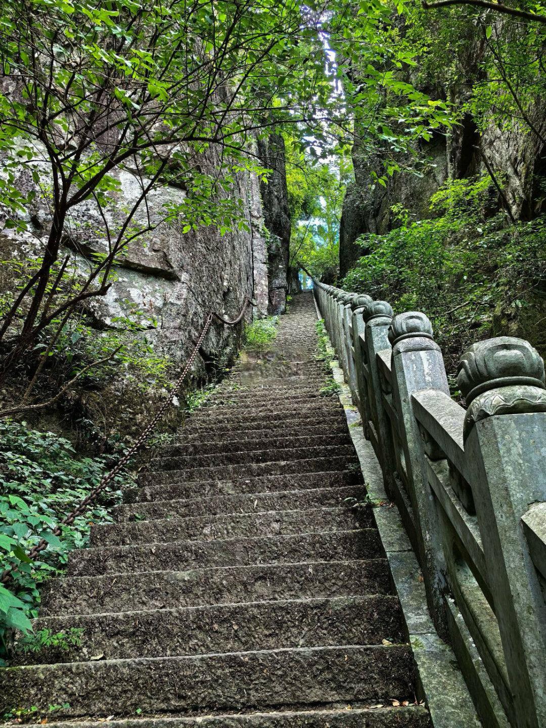 🔥江浙沪最美徒步路线|西天目山·大树王国